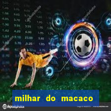 milhar do macaco que mais saem no jogo do bicho