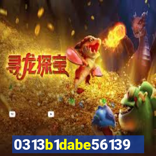 qin2023