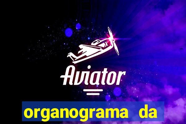 organograma da cacau show