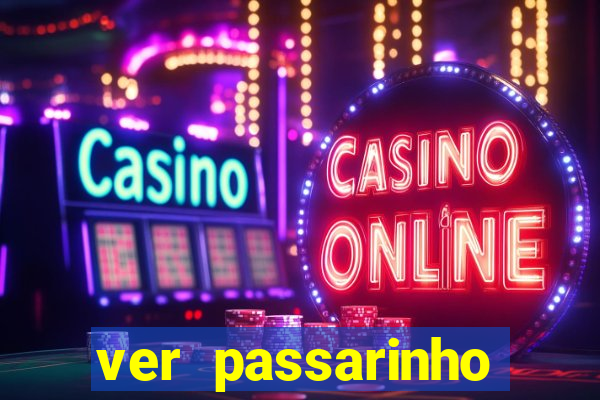 ver passarinho morto significado