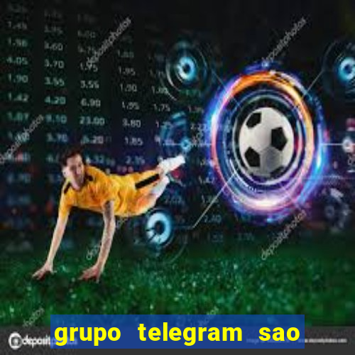 grupo telegram sao jose do rio preto