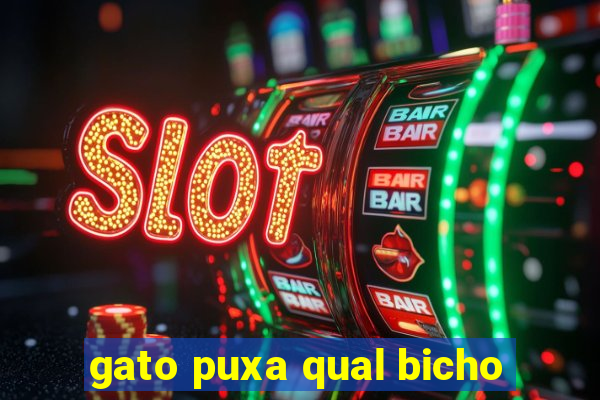gato puxa qual bicho