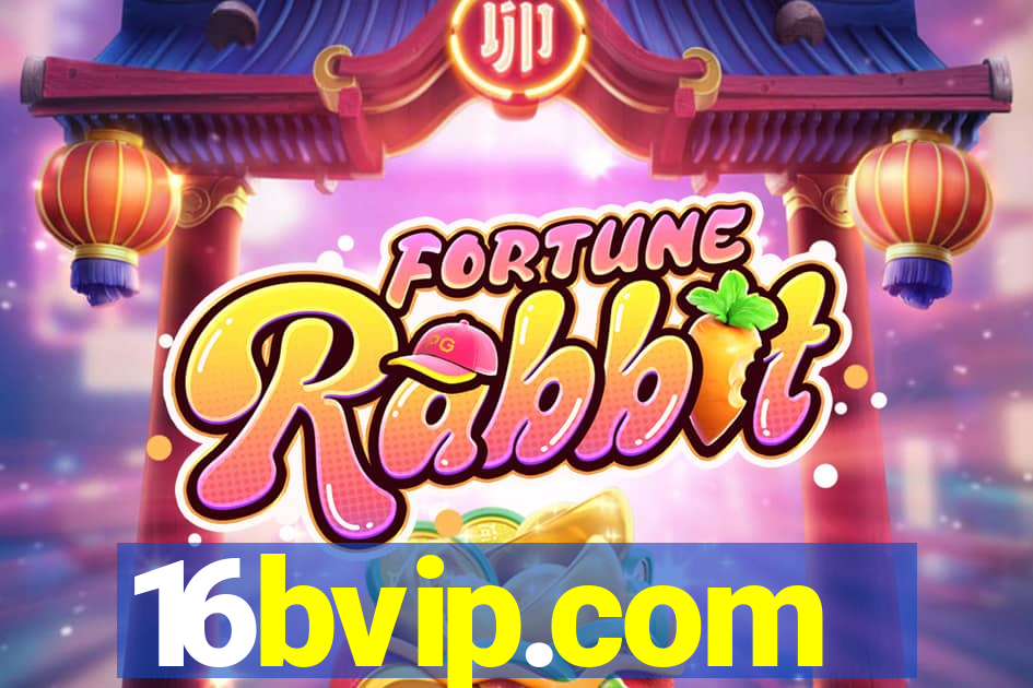 16bvip.com