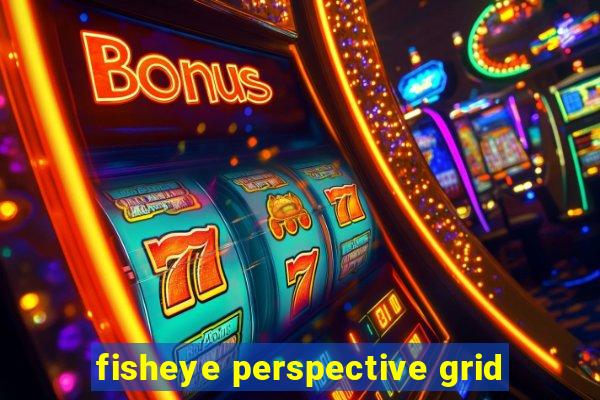fisheye perspective grid