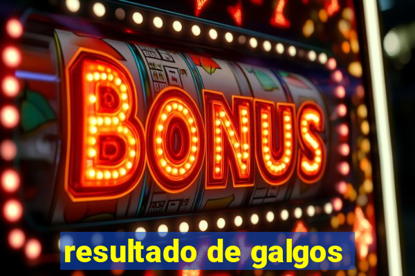 resultado de galgos