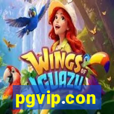 pgvip.con