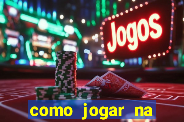 como jogar na lotinha do jogo do bicho