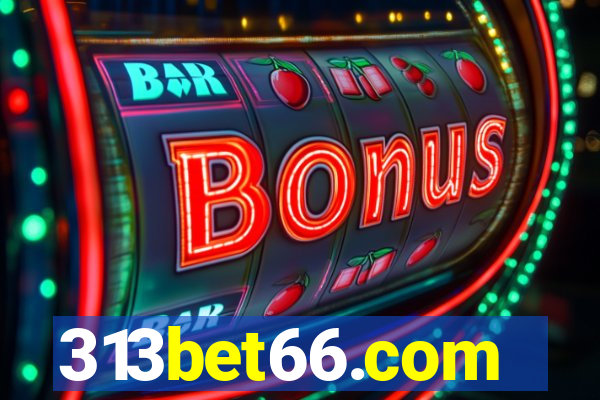 313bet66.com