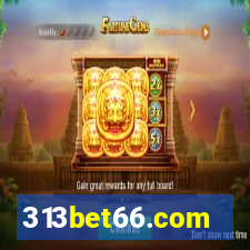 313bet66.com