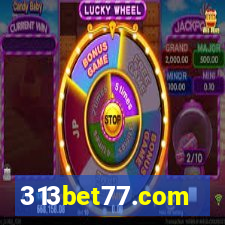 313bet77.com