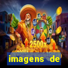 imagens de digitopuntura mori