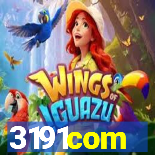3191com