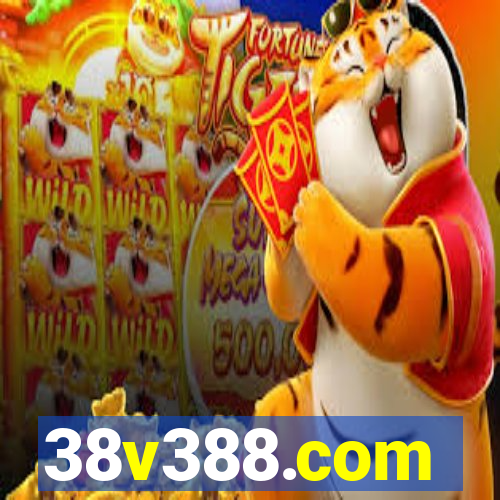 38v388.com