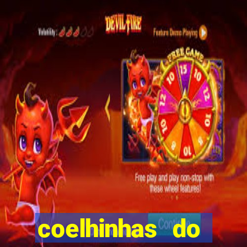 coelhinhas do brasil jp