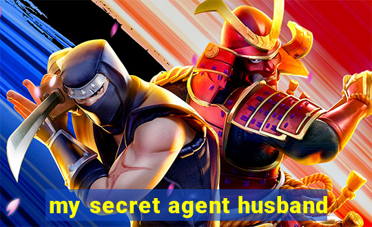 my secret agent husband