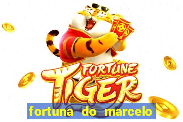 fortuna do marcelo do fluminense