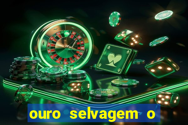 ouro selvagem o que aconteceu na vida