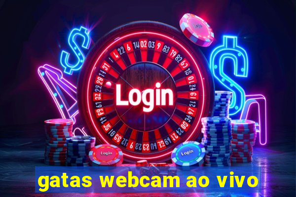 gatas webcam ao vivo