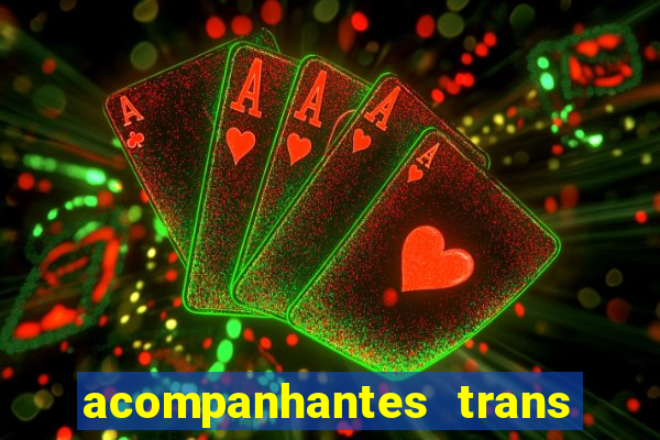 acompanhantes trans santos sp