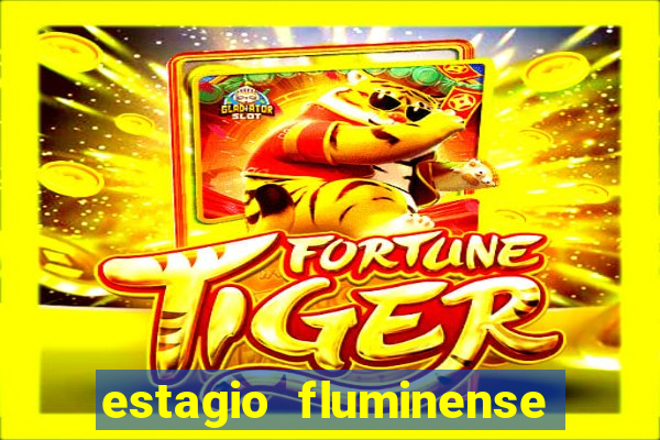 estagio fluminense futebol clube