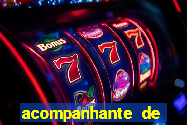 acompanhante de porto belo
