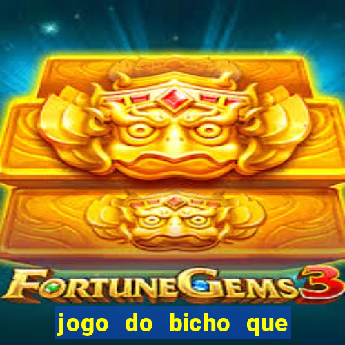 jogo do bicho que paga no pix