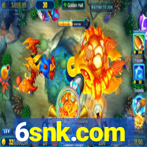 6snk.com