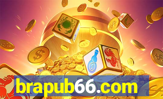 brapub66.com