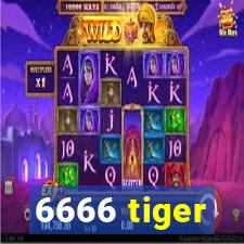 6666 tiger