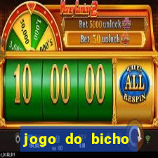 jogo do bicho banca ouro verde