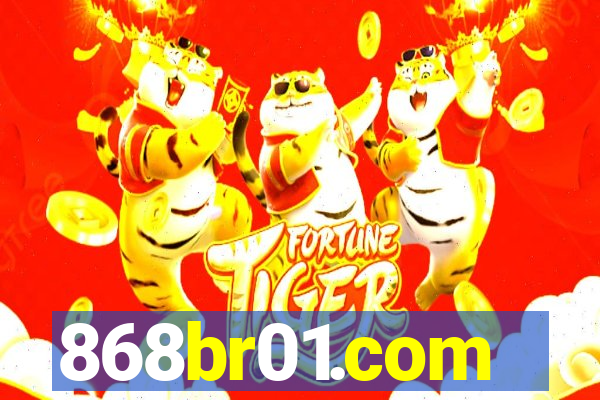 868br01.com