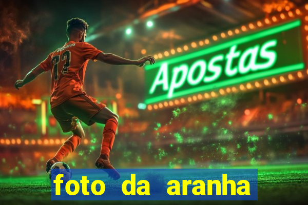 foto da aranha mais feia do mundo