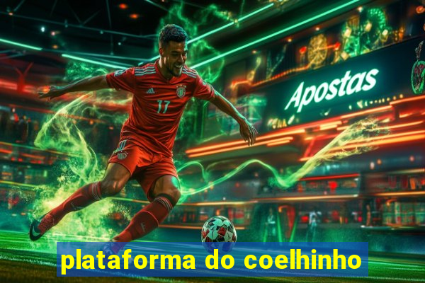 plataforma do coelhinho