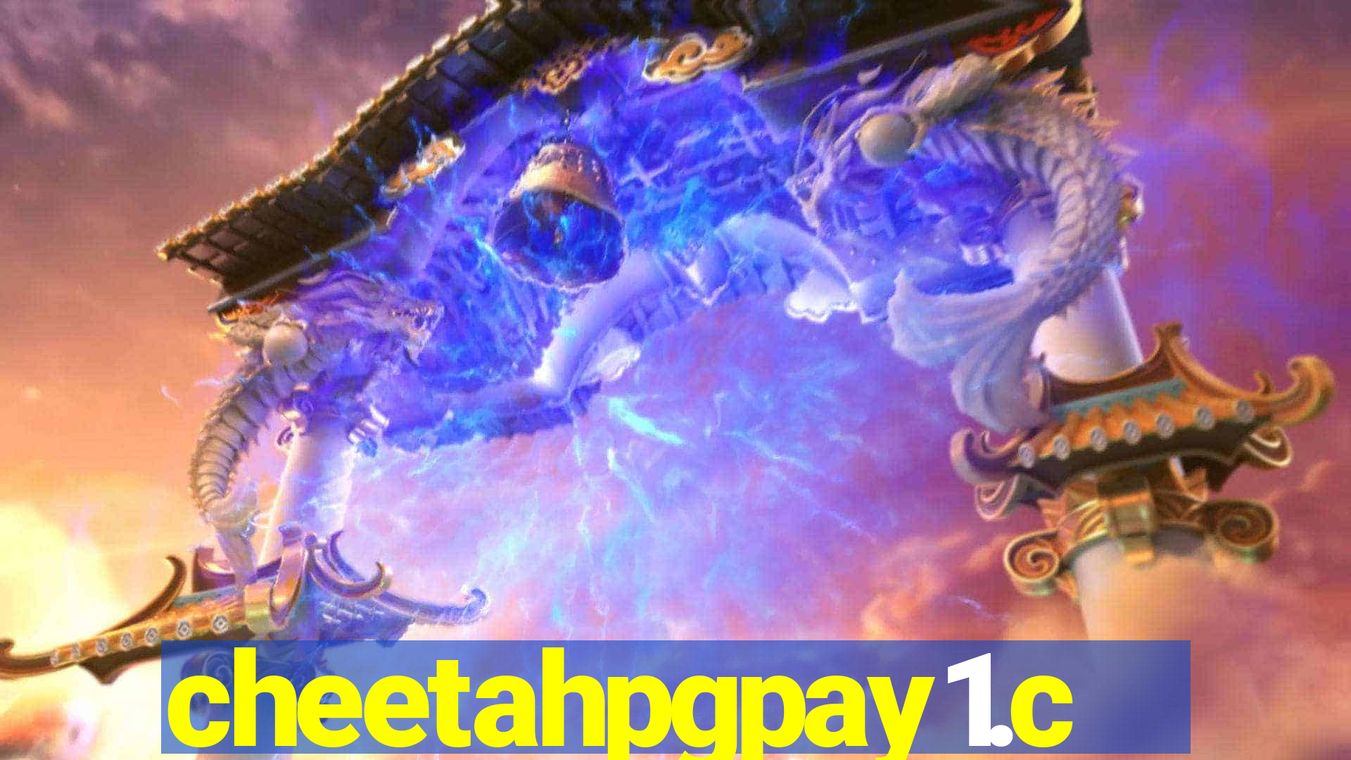 cheetahpgpay1.com