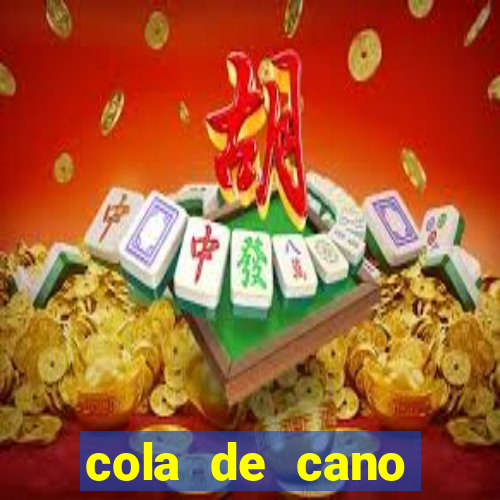 cola de cano quanto tempo para secar