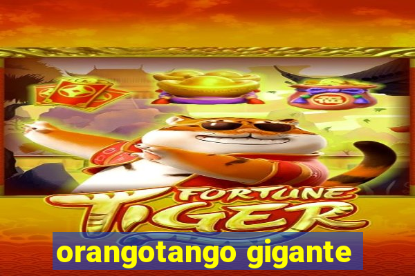 orangotango gigante