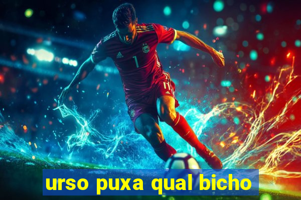 urso puxa qual bicho