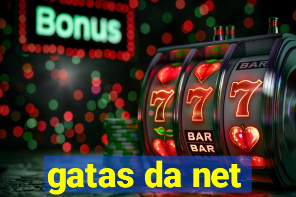 gatas da net