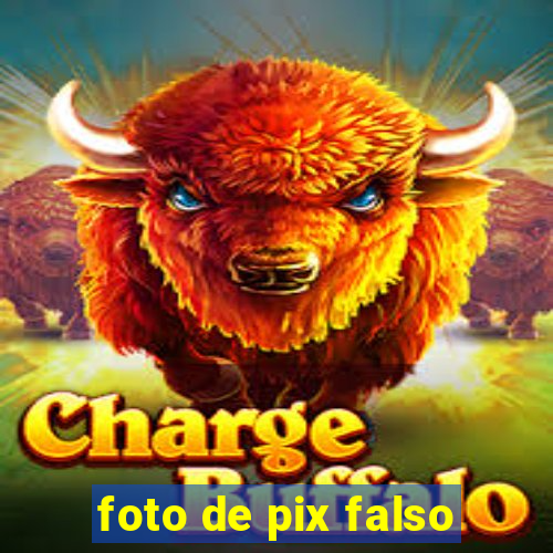 foto de pix falso
