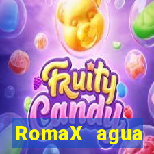 RomaX agua sanitaria fispq agua sanitaria romax