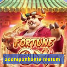 acompanhante mutum