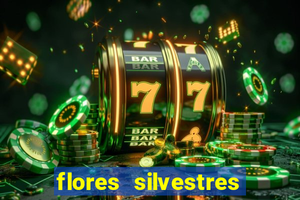 flores silvestres desbravadores desbravadores 25 flores silvestres e seus nomes