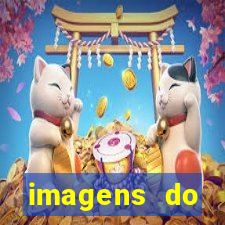 imagens do corinthians chorando