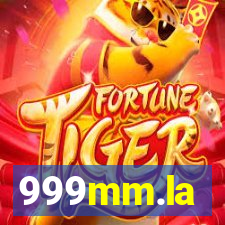 999mm.la