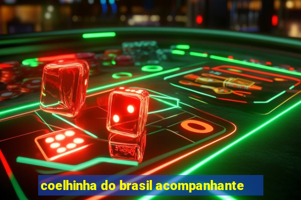 coelhinha do brasil acompanhante