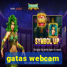 gatas webcam