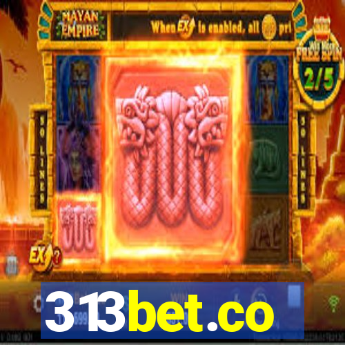 313bet.co