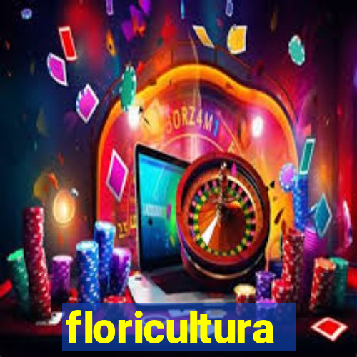 floricultura juazeiro bahia