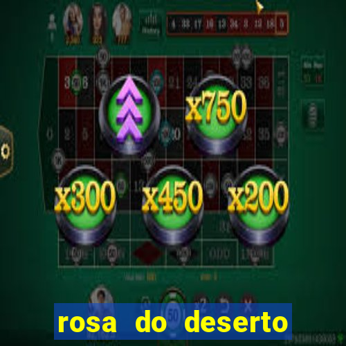 rosa do deserto lilac frost