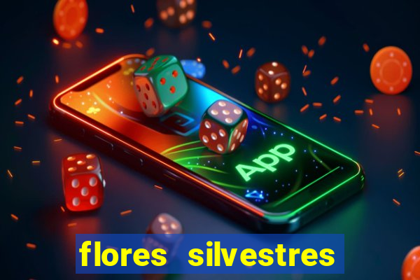 flores silvestres desbravadores desbravadores 25